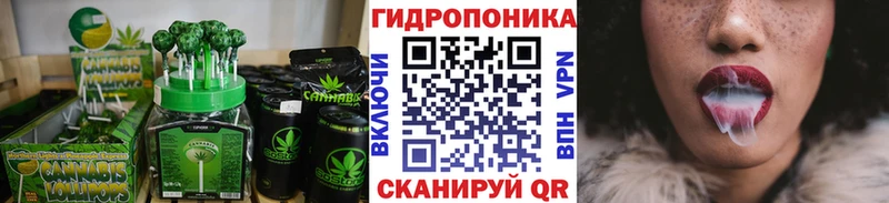 Canna-Cookies марихуана  Новозыбков 