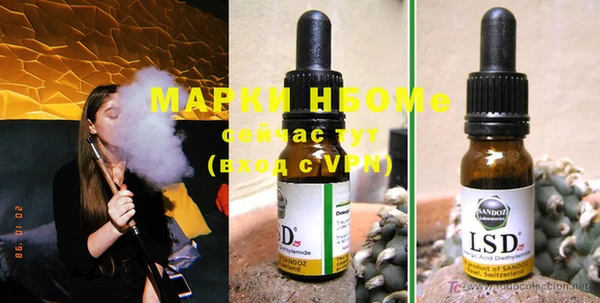 индика Иноземцево