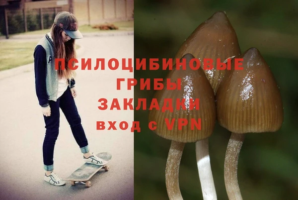 герыч Ельня