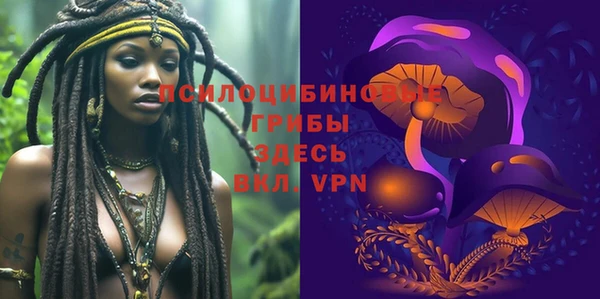 PSILOCYBIN Кущёвская